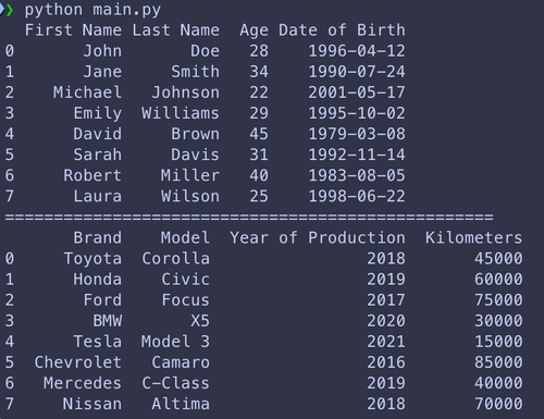 People and cars array - pandas