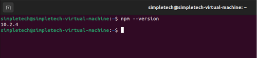 npm version